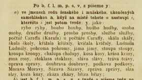 Kdy psát Y radil Pravopis a mluvnice jazyka českého Františka Otakara Mikeše v roce 1867.
