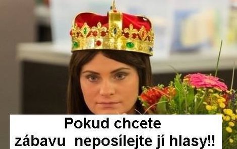 Lidé sdílejí na Facebooku také nejrůznější koláže proti Zdeňce.