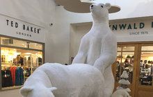 Velké pobouření v obchodním centru: Vánoční »pornomedvědi«