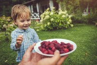 25 jídel, která děti nechtějí! Takhle vysvětlují, proč jim vůbec nechutnají