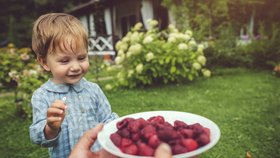 25 jídel, která děti nechtějí! Takhle vysvětlují, proč jim vůbec nechutnají