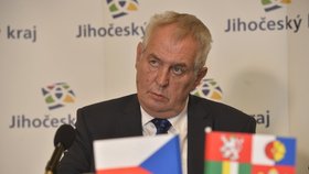 Prezident Miloš Zeman