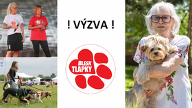 Výzva pro fanoušky Blesk tlapek: Které psí influencery chcete potkat na festivalu? Napište nám!
