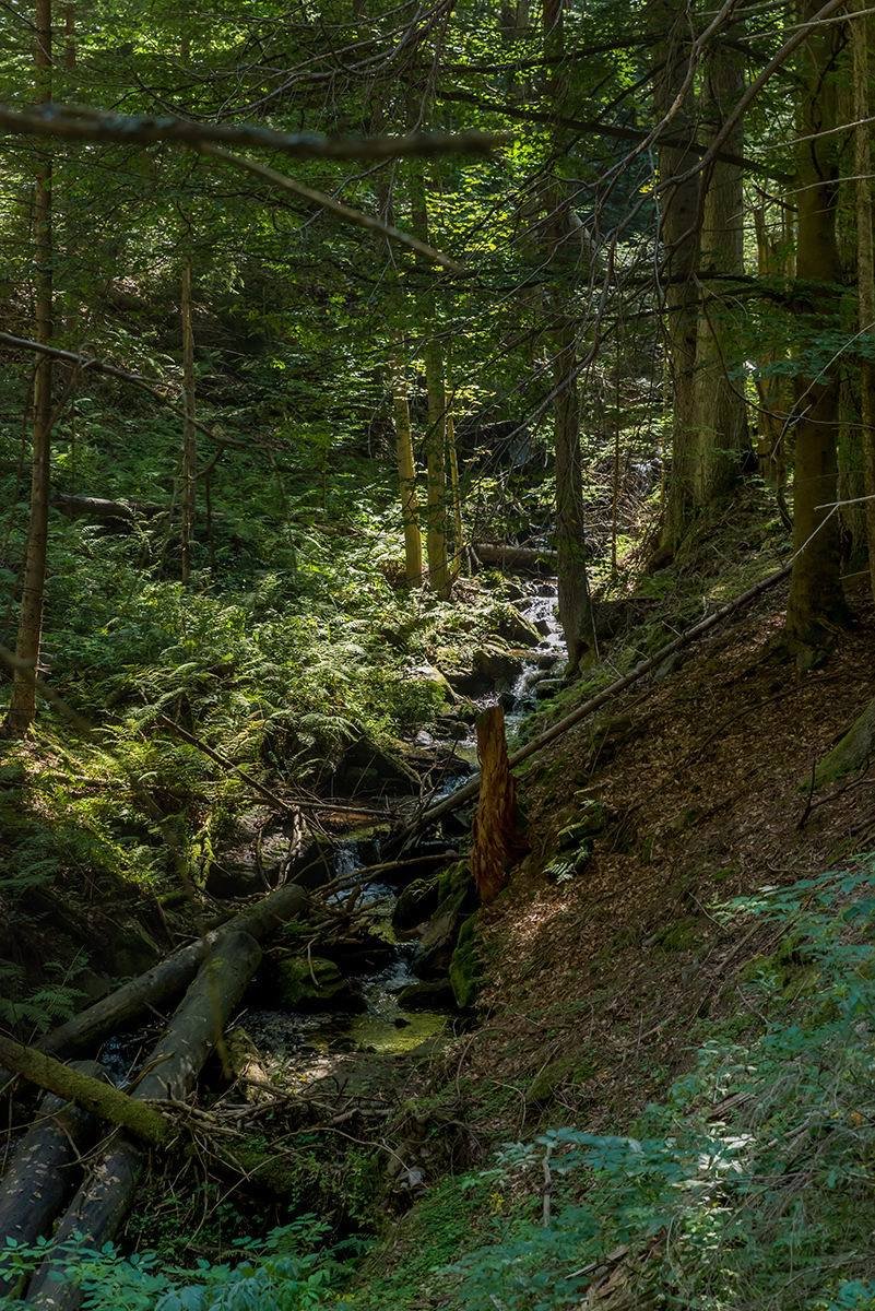 Bývalý potok Wunderbach neboli Zázračný, dnes se jmenuje Pěkný.