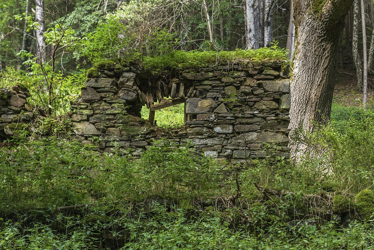 Ruiny na Wunderbachu, český název osady je Bystrá.