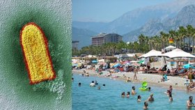 Skrytá hrozba na dovolené: Na tuhle virovou infekci není lék. Hrozí i v Turecku či Bulharsku