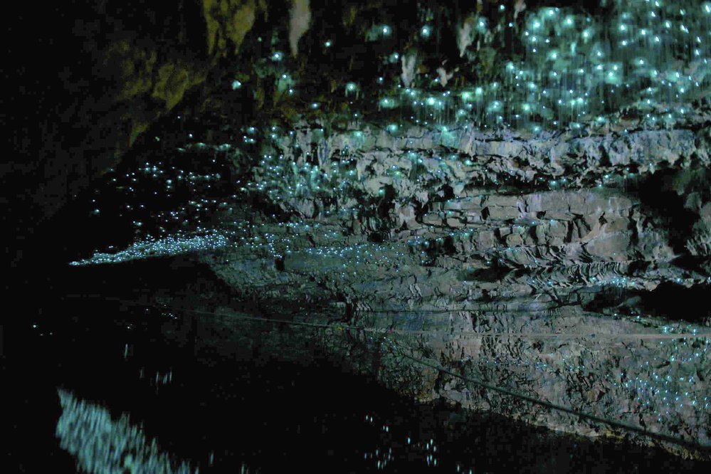 Jeskyně Waitomo na Novém Zélandě