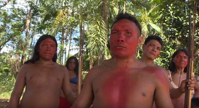 Domorodci z amazonského pralesa jsou ochotni udělat všechno pro to, aby zabránili těžařům v kácení stromů. I jdou do politiky.