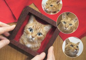 Neuvěřitelně realistické obrázky koček jsou dílem japonské umělkyně, která si říká Wakuneco.
