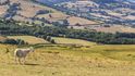 Putování pohořím Brecon Beacons aneb V ovčím ráji jižního Walesu