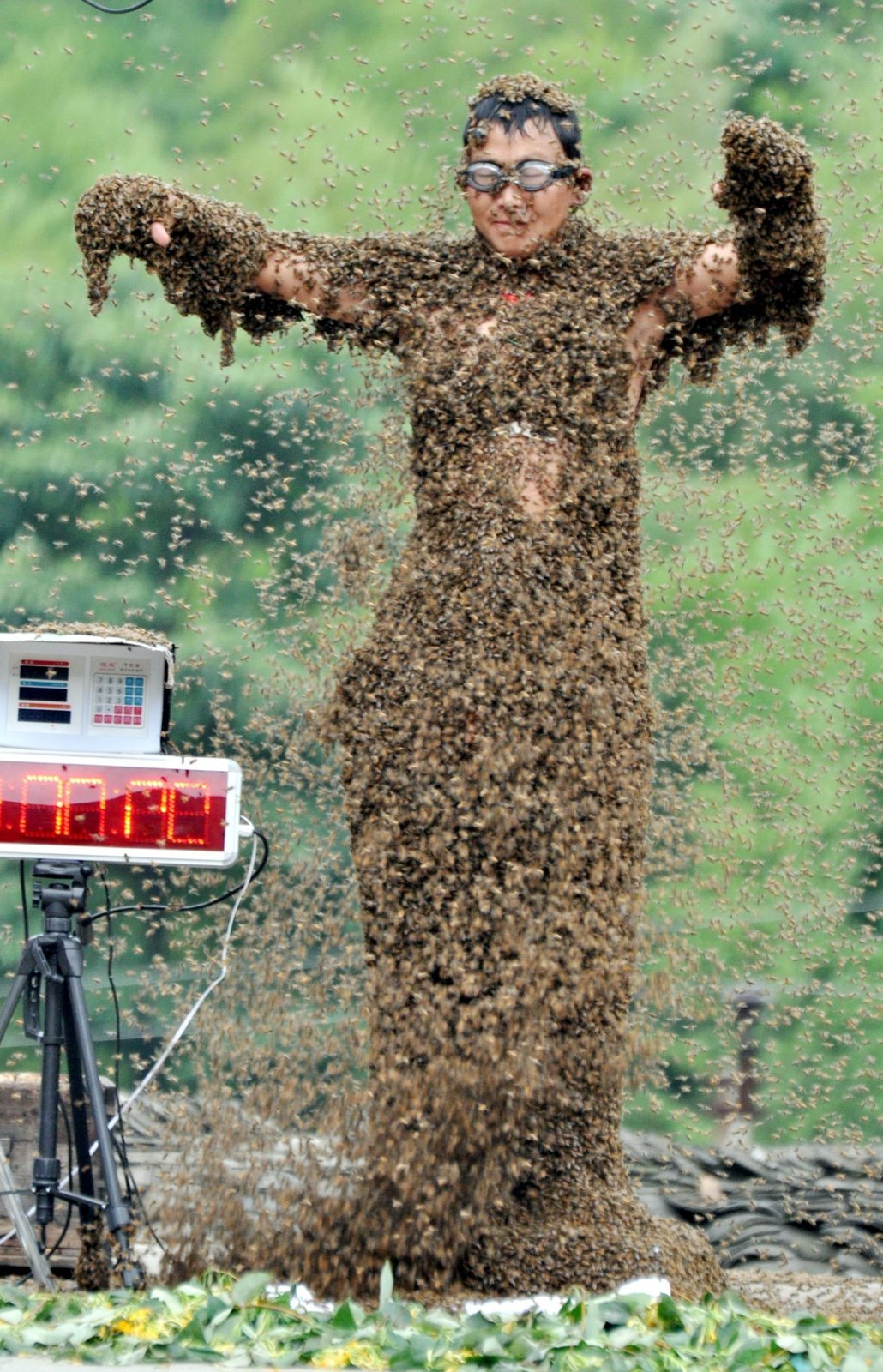 Loňský rekord Wang Ta-lina (42) měl hodnotu 26 kg. Včelí kabát ho pokryl od hlavy až k patě, dýchat mohl pomocí trubiček…