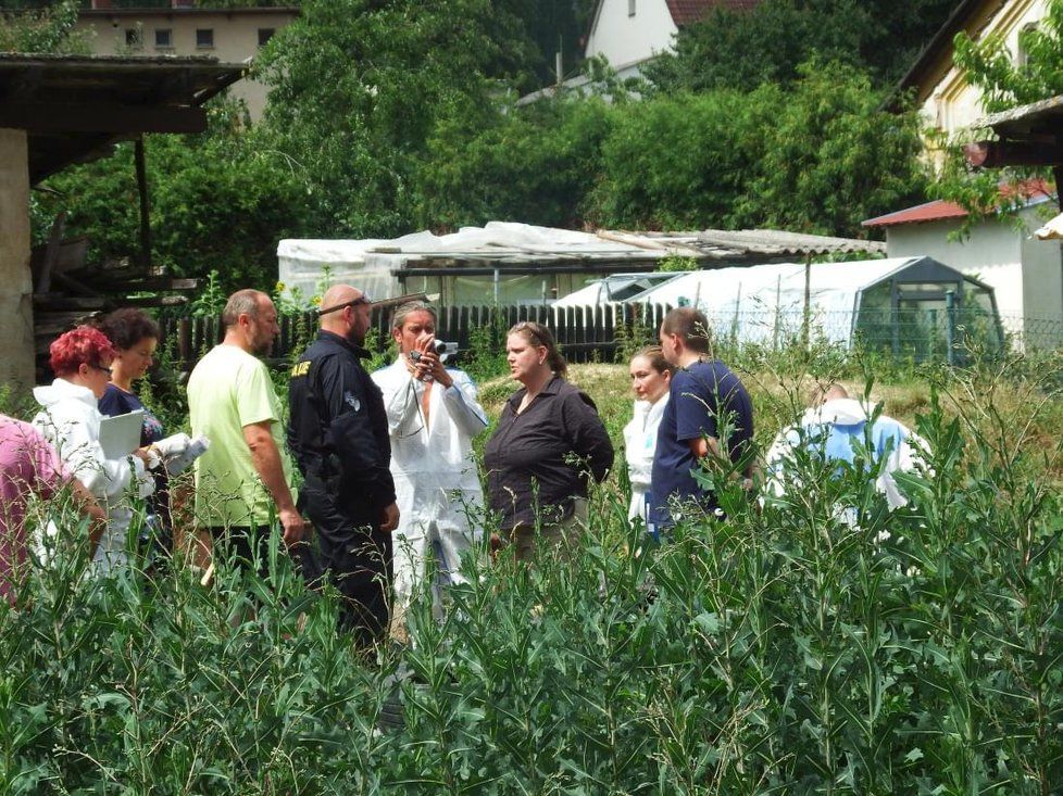 Iva Wastlová je vyšetřována na svobodě, policie ji v létě přivlekla na její zahradu, aby přihlížela exhumaci těl mrtvých zvířat, které její "chov" v množírně nepřežili.