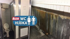 WC hlídka hodnotí veřejné toalety nejen v Praze.