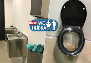 Návštěva toalet v parku Grébovka je jen pro osoby se silným žaludkem. Voda z umyvadel neodtéká, záchody nesplachují a vrší se v nich výkaly a toaletní papír.