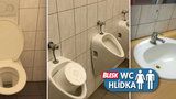 Na toaletách nádraží v Holešovicích panují 90. léta. Příjemně ale překvapí