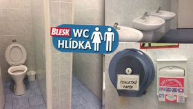 Papírové prkénko, toaleťák mimo kabinku a štětka v kýblu. To je WC na náměstí Míru