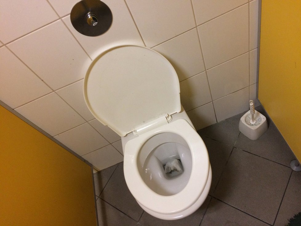 Na záchodě chybí odpadkový koš.