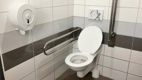 Zaměstnavatelé si stěžují, že lidé vysedáváním na WC tráví příliš mnoho času (ilustrační foto)