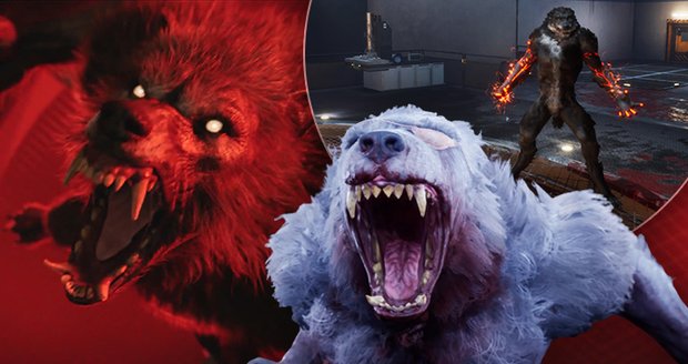 Werewolf: The Apocalypse – Earthblood je béčková řežba plná chyb, ale fanoušky vlkodlaků pobaví.