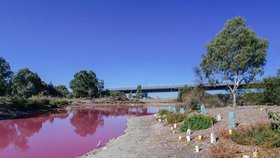 Jezero v melbournském Westgate Park