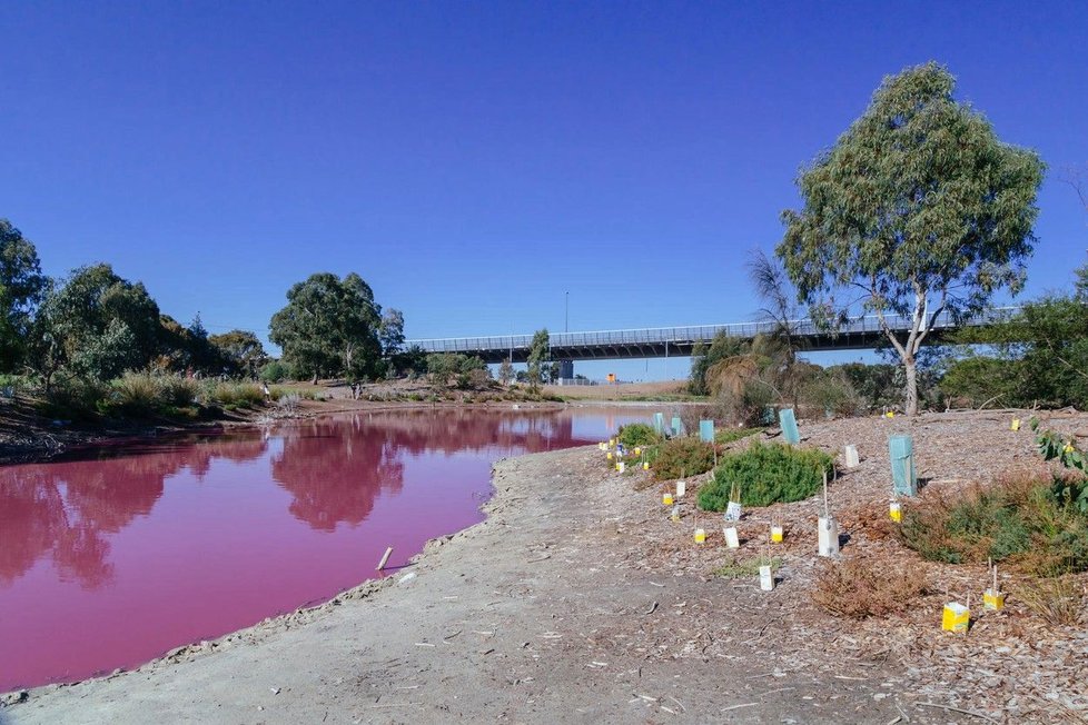 Jezero v melbournském Westgate Park