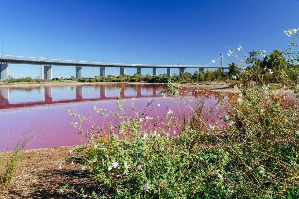 Jezero v melbournském Westgate Park