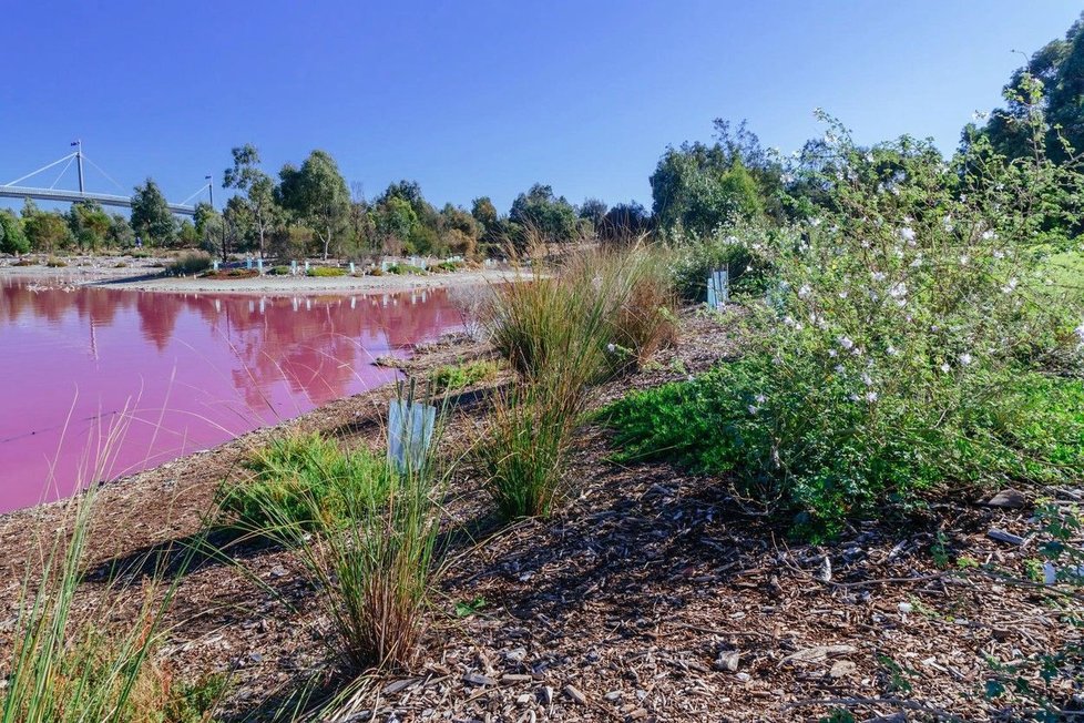 Jezero v melbournském Westgate Park