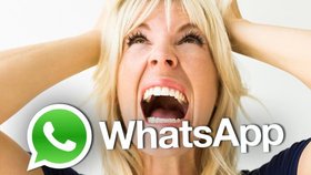 Program WhatSpy umožňuje špehování uživatelů aplikace WhatsApp.
