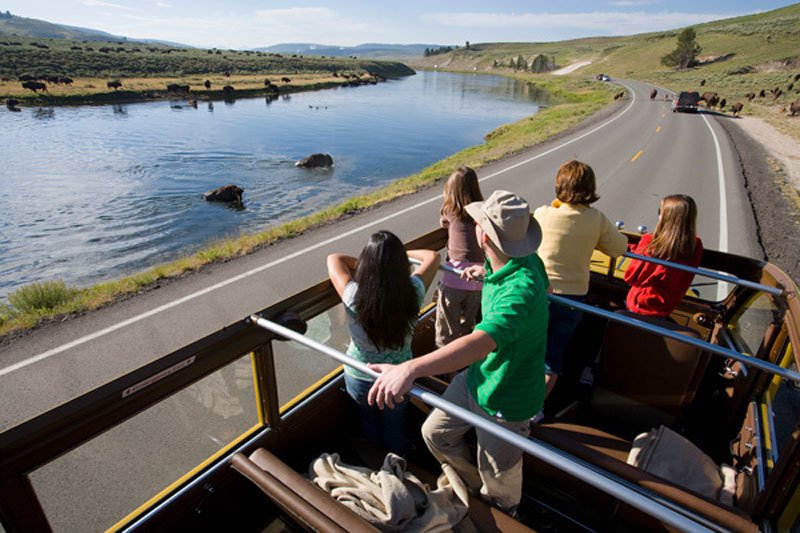 White Model 706 Yellowstone Park Bus