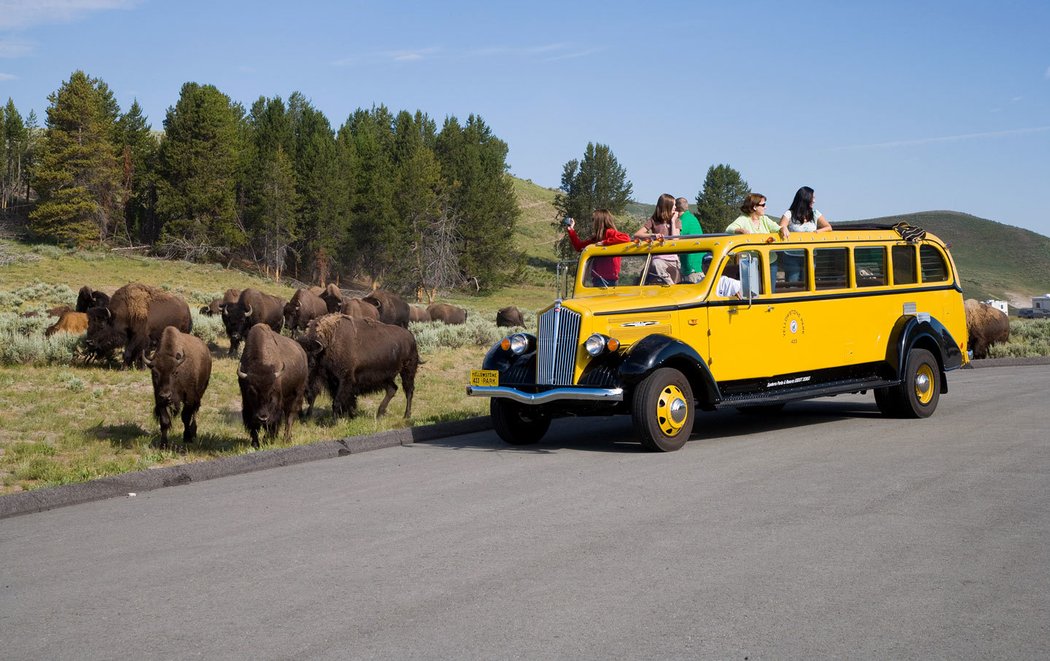 White Model 706 Yellowstone Park Bus