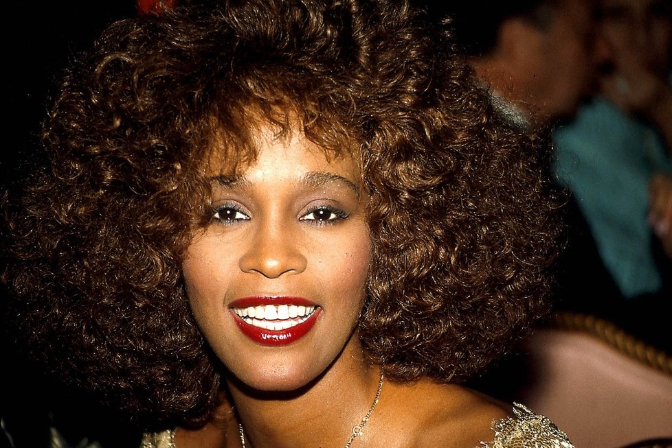 Whitney Houston se utopila ve vaně.