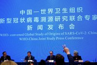 Číňané drželi experty WHO stranou od původních dat o koronaviru. Průtahy štvou i Čechy