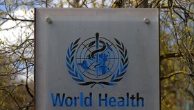 Sídlo Světové zdravotnické organizace (WHO) ve švýcarské Ženevě