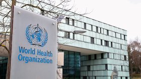 Sídlo Světové zdravotnické organizace v Ženevě ve Švýcarsku