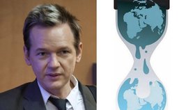 Server WikiLeaks zveřejnil zprávu o tom, že ČR nechtíc zmařila nákup raket USA