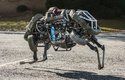 WildCat pd Boston Dynamics dosahuje rychlosti až 32 km/h