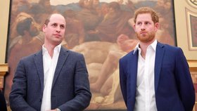 Princové William a Harry.