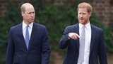 Znesváření bratři William a Harry: Tak blízko, ale tak daleko!