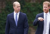 Znesváření bratři William a Harry: Tak blízko, ale tak daleko!