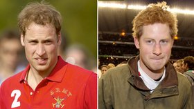 Britští princové: Citlivý William vs. bouřlivák Harry
