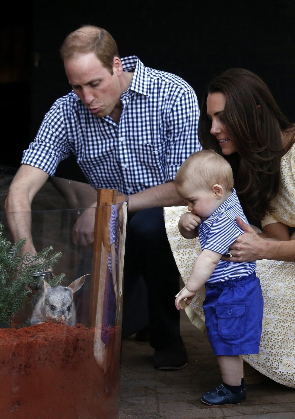 Kate, William a Geore při ofociální návštěvě Sydney v dubnu 2014.