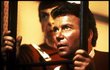 William Shatner jako kapitán James T. Kirk ve snímku Star Trek II: Khanův hněv.