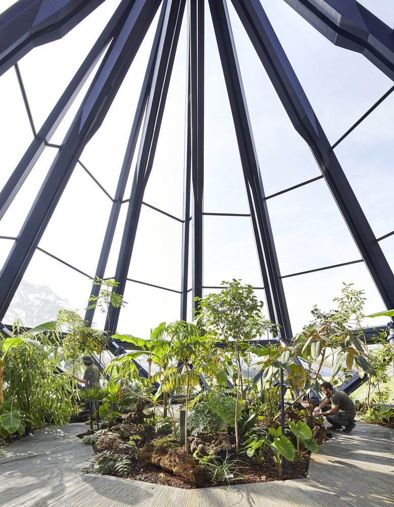 Uvnitř skleníku rostou subtropické rostliny připomínající starověkou Hedvábnou stezku