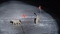 První místo v kategorii Životní prostředí: The New York Times/ Esther Horvath - Lední medvědi zkoumající důsledky změny klimatu v Arktidě, u lodi Polarstern, která sloužící vědecké expedici . První místo v kategorii Životní prostředí: The New York Times/ Esther Horvath - Lední medvědi zkoumající důsledky změny klimatu v Arktidě, u lodi Polarstern, která sloužící vědecké expedici .