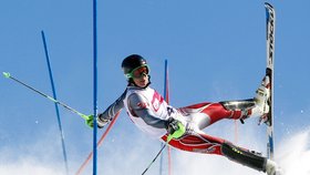 Za závodníka ve slalomu získal Polák Andrzej Grygiel druhé místo v kategorii sportovních fotografií.