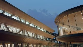 Woven City Woven City