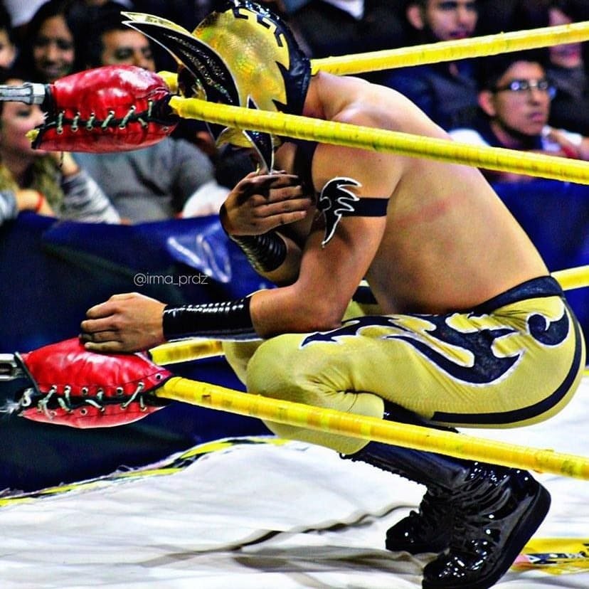 Wrestler Luis Angel Salazar aka Principe Aéreo zemřel po úderu v ringu.