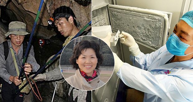 Zakázané fotky z Číny: Bez ochrany sbírali netopýří vzorky. Známá vědkyně chtěla utéct?