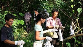 Smazané fotografie Wu-chanského institutu virologie. Pracovníci odchytávají netopýry bez ochranných pomůcek