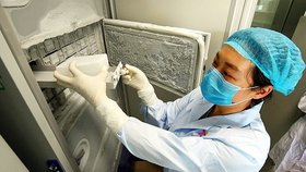 Smazané fotografie Wuchanského institutu virologie. Chladnička s 1500 zkumavkami se vzorky virů měla vadné těsnění.